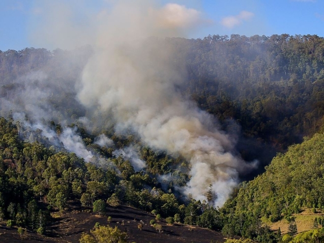 The Importance of Vegetation Management in Bushfire Protection