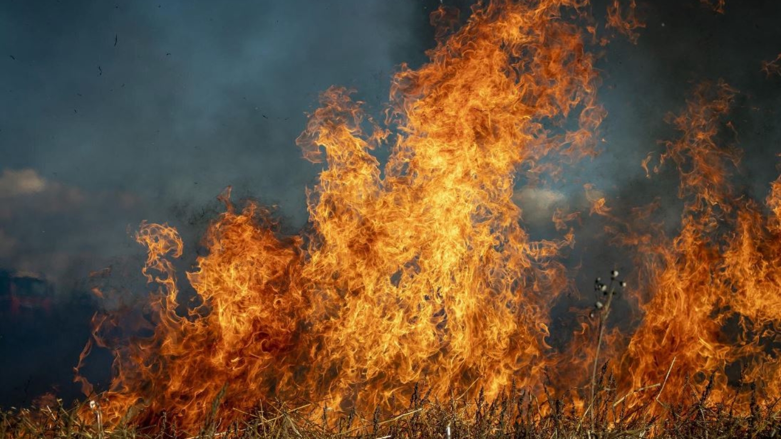 Understanding the Science of Bushfires How Fire Behaves and How to Manage It